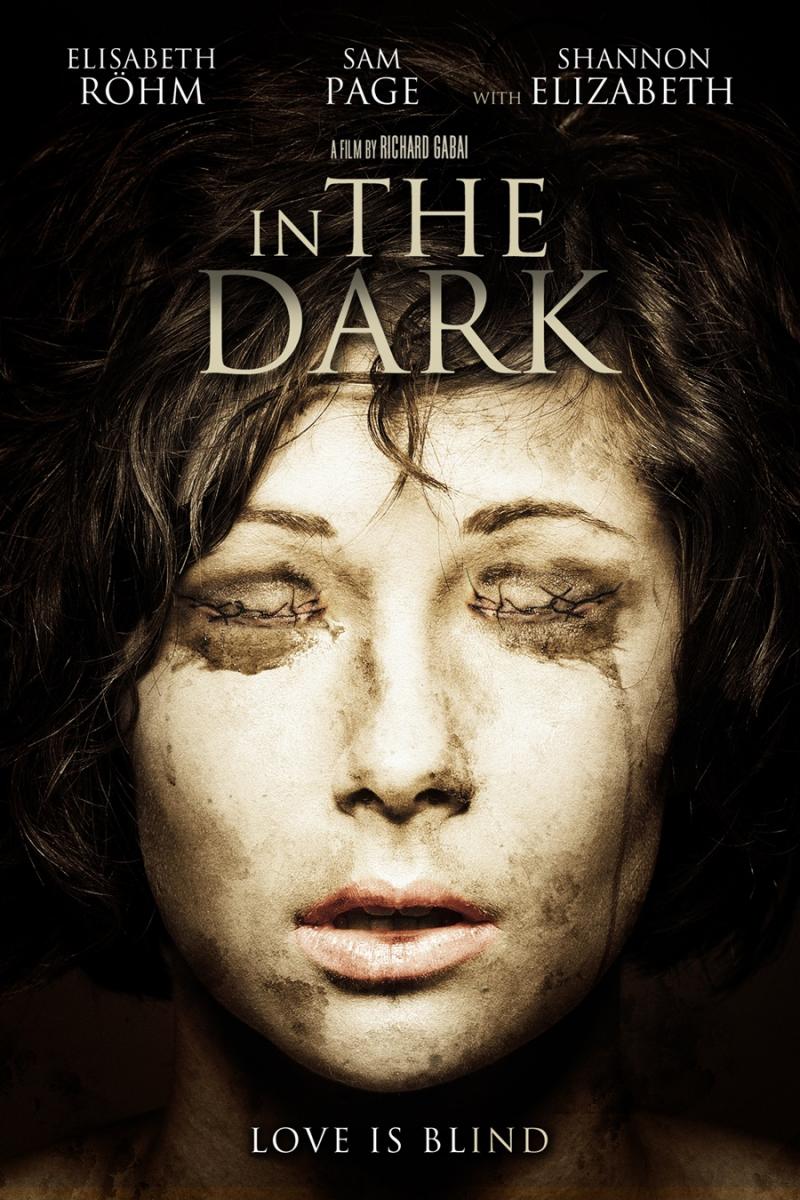 In the Dark / В сянката на съмнението (2013)