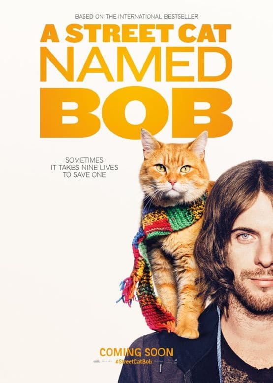 A Street Cat Named Bob / Уличният котарак Боб (2016)